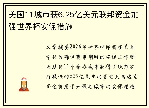 美国11城市获6.25亿美元联邦资金加强世界杯安保措施